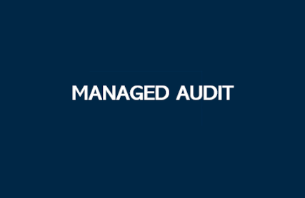 Managed Audit Padila and CompanySCALED